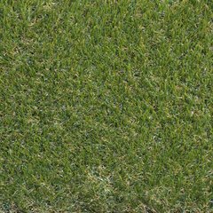 Ландшафтная трава Condor Grass Jiliette (ширина рулона 2 м)