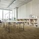 Линолеум Beauflor Sonipro Vero 696D (ширина 3м)