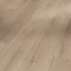 Вінілова підлога клеевой Parador Basic 2.0 Oak Inﬁnity grey 1730800