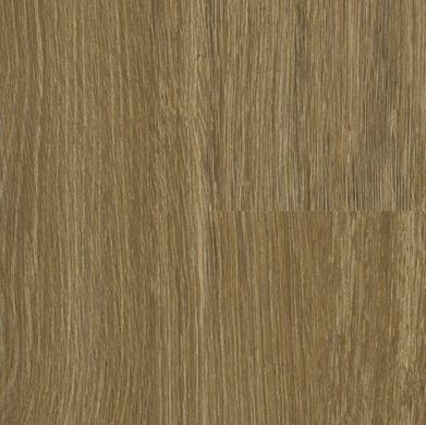 Вінілова підлога Falquon The Floor Wood Dryback Calm Oak P6003