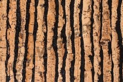 Настенная пробка листовая Cork-System Tigre