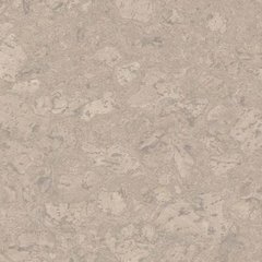 Корок для підлоги клеєвий Amorim WISE Cork Pure Personality Antique White AJ7U001 (80000290)