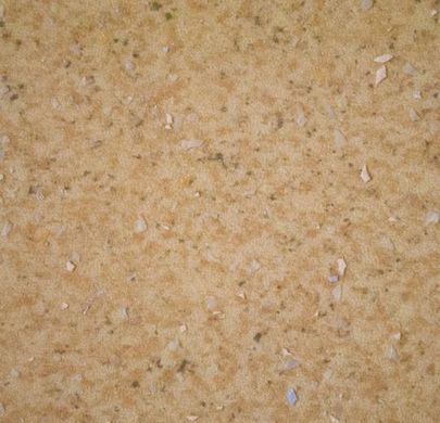 Вінілова підлога в рулонах Forbo Emerald Spectra 5528
