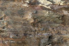 Підлогова пробка клейова Corkstyle Fantasy & Stone Fossil