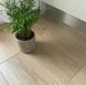 Ламинат Alsafloor Homflor Distingo XL V4 WR 5G Дуб Натуральный HDX450